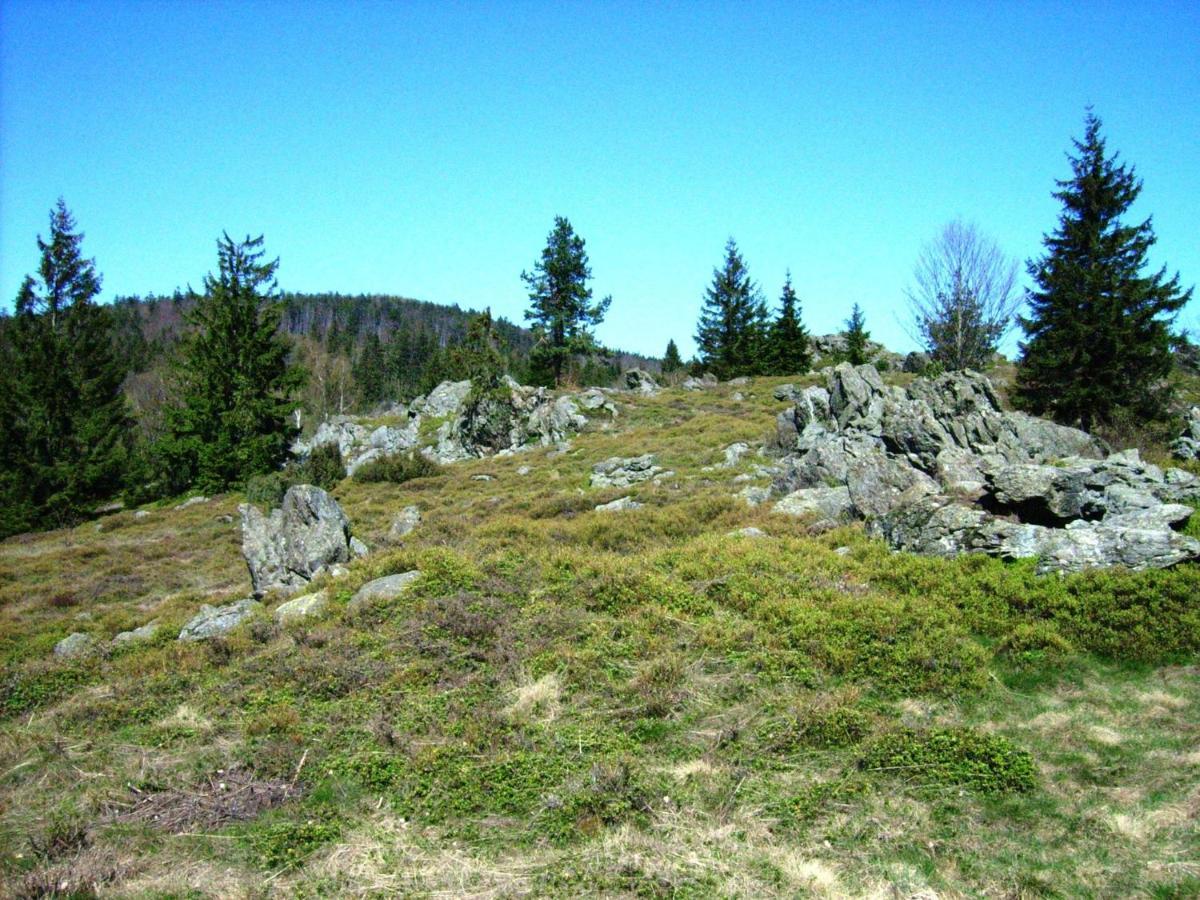 Holiday Home Near The Ski Slope Stadlern Luaran gambar